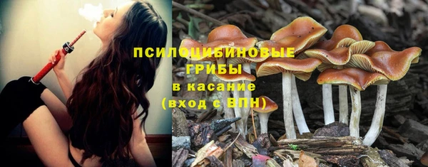 spice Пролетарск