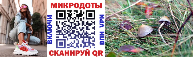 Галлюциногенные грибы GOLDEN TEACHER  купить   мега вход  Свирск 